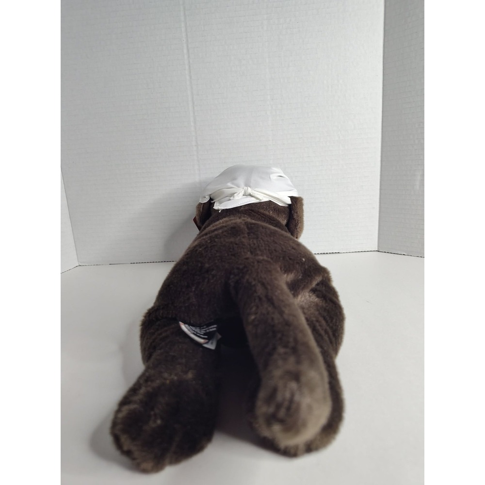 Harley Davidson Brown Chocolate Lab With Bandana NWT - Picture 4 of 6